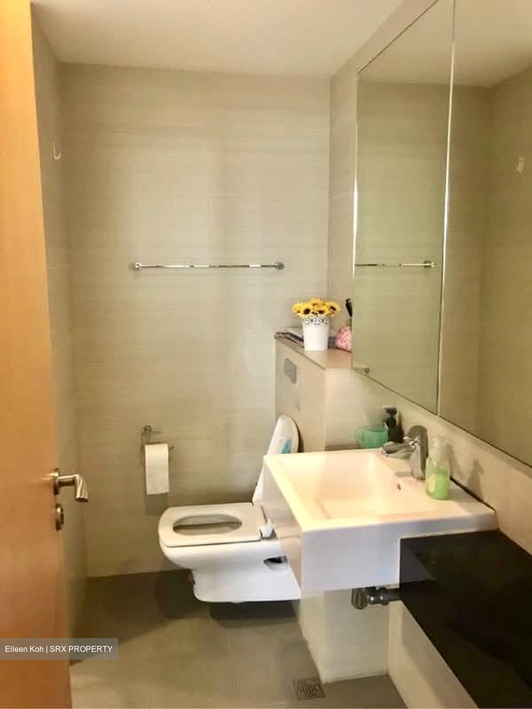 Oasis @ Elias (D18), Condominium #568659541